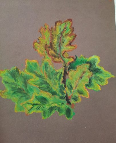 Carol W, oak leaves..